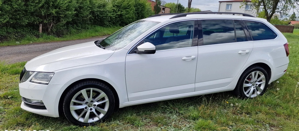 Skoda Octavia cena 90000 przebieg: 300000, rok produkcji 2019 z Mikołów małe 254